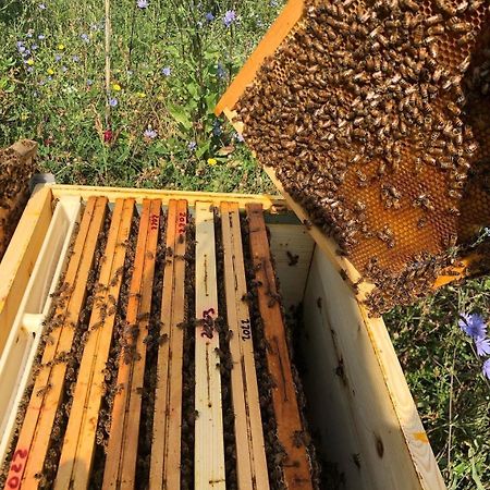 B&B Il Mulino Osteria di Novoli Luaran gambar